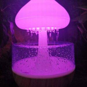 |Rain Cloud Humidifier