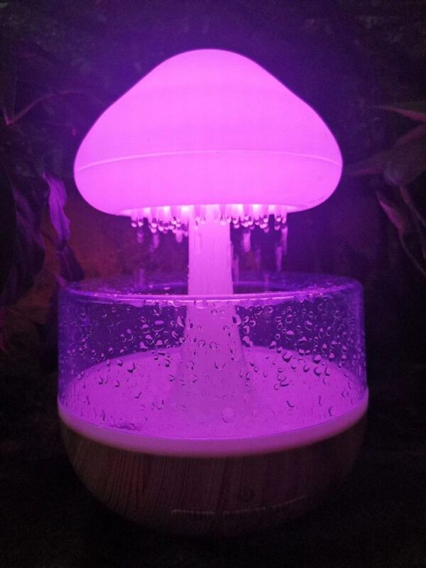 |Rain Cloud Humidifier - Image 2